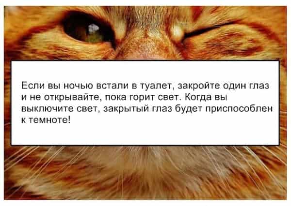15 трюков, которые заставят ваше тело работать на вас!