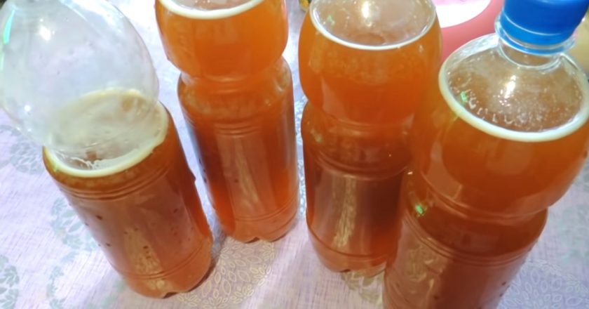 Домашний квас со вкусом из детства: мы за таким к бочке бегали Домашний квас со вкусом из детства: мы за таким к бочке бегали
