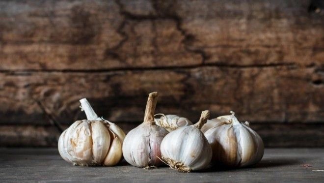 8 благоприятных факторов регулярного употребления чеснока для организма 8 благоприятных факторов регулярного употребления чеснока для организма
