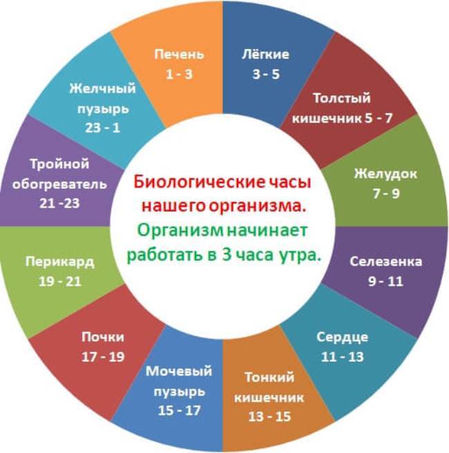 Стакан воды в часы «Ю-ши» для здоровья почек Стакан воды в часы «Ю-ши» для здоровья почек