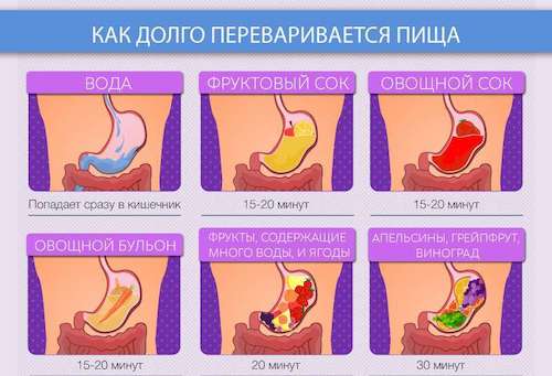 Почему Жена После Секса Сразу Кушает