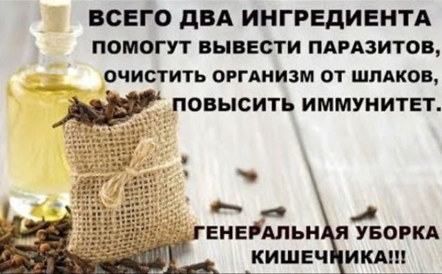 Черновик Черновик